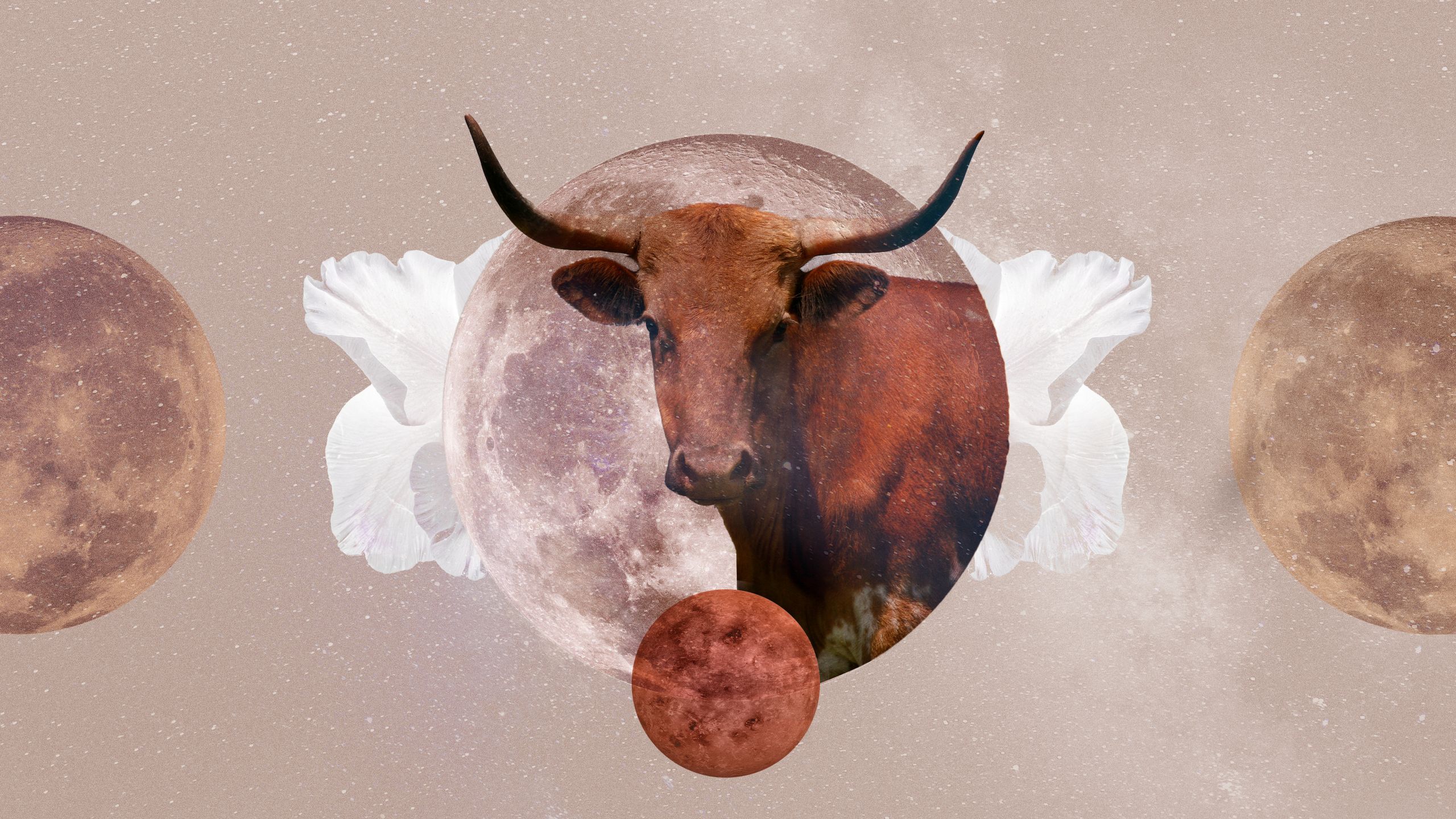 Taurus Horoscope for June 2024: Are Horoscopes Really Useful?